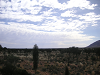 s_A_PICT0318_thumb.png